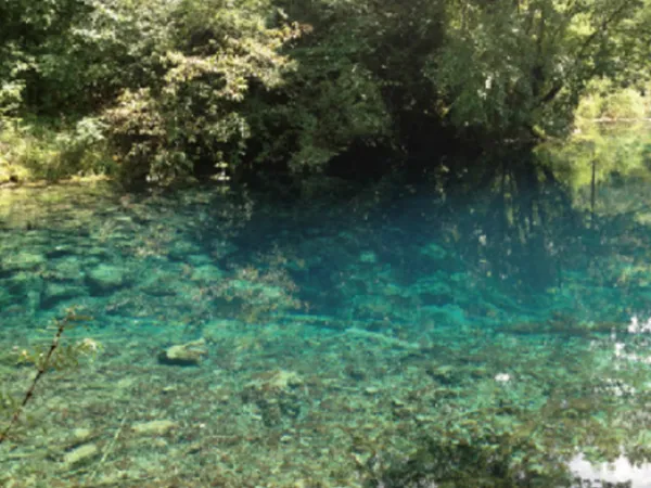 Tratamiento de agua para jardines y paisajismo